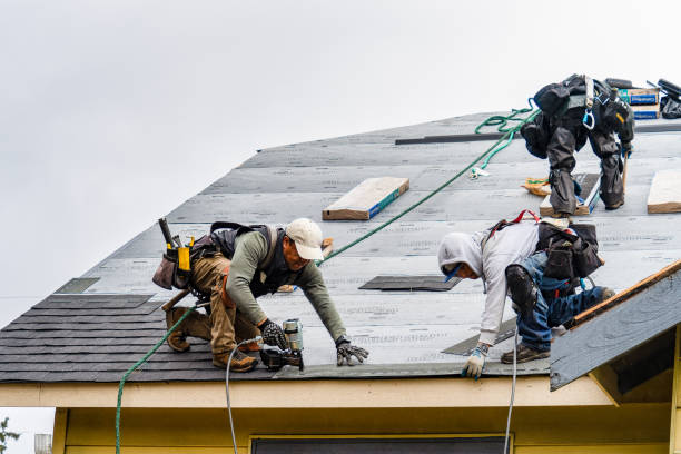 Professional Emergency Roof Repair technician working in Wolfe, WV